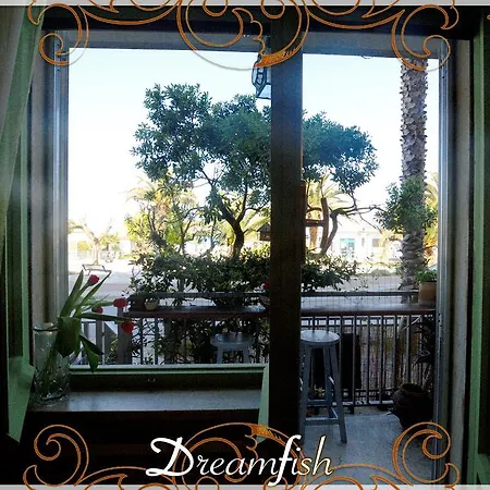 Dream Fish 산베네데토델트론토